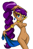 Shantae Shantae_(Game) // 692x1034 // 275.2KB // png
