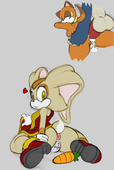 Adventures_of_Sonic_the_Hedgehog Cream_the_Rabbit Marine_the_Raccoon angelbreed // 822x1223 // 415.8KB // png