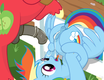 My_Little_Pony_Friendship_Is_Magic Rainbow_Dash toggafreggin // 1280x996 // 360.0KB // png