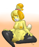 Animal_Crossing Isabelle QuietStealth // 1000x1200 // 388.1KB // png