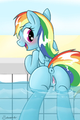 My_Little_Pony_Friendship_Is_Magic Rainbow_Dash // 1280x1920 // 323.3KB // jpg