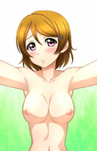 Hanayo_Koizumi Love_Live // 929x1450 // 963.3KB // jpg