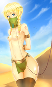 Hyrule_Warriors Linkle The_Legend_of_Zelda // 758x1254 // 859.4KB // png