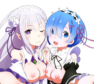 Emilia Re_Zero Rem // 2160x1920 // 392.8KB // jpg