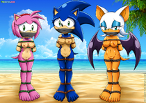 Adventures_of_Sonic_the_Hedgehog Amy_Rose PalComix Rouge_The_Bat Rule_63 Sonic_The_Hedgehog // 1447x1024 // 818.9KB // jpg