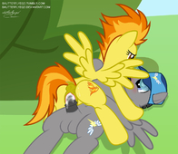 My_Little_Pony_Friendship_Is_Magic Spitfire shutterflyeqd // 1280x1113 // 361.0KB // png