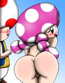 Super_Mario_Bros Toad Toadette // 1008x1280 // 161.0KB // jpg