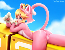 NeoCoill Princess_Peach Super_Mario_Bros // 774x596 // 131.9KB // jpg