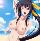 Akeno_Himejima High_School_DxD // 1280x1322 // 922.9KB // png