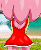 Adventures_of_Sonic_the_Hedgehog Amy_Rose Animated // 600x720 // 2.4MB // gif