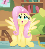 Fluttershy My_Little_Pony_Friendship_Is_Magic rainbownspeedash // 1280x1406 // 522.0KB // png