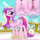 My_Little_Pony_Friendship_Is_Magic Princess_Cadance // 1500x1500 // 1.1MB // png
