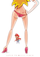 Princess_Peach Super_Mario_Bros // 871x1233 // 487.5KB // png