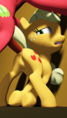 3D Applejack My_Little_Pony_Friendship_Is_Magic Rogenilinad // 1079x1920 // 1.8MB // png