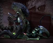 3D Alien_(Series) Animated Cavafly01 Source_Filmmaker Xenomorph // 1280x960 // 25.9MB // webm