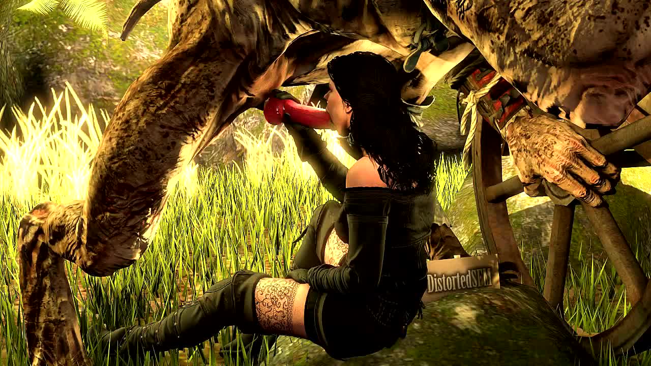 3D Animated The_Witcher Yennefer distortedsfm // 1280x720 // 2.5MB // mp4