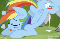My_Little_Pony_Friendship_Is_Magic Rainbow_Dash // 1000x659 // 444.4KB // png