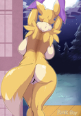 Digimon PlankBoy Renamon // 1280x1849 // 1.1MB // png