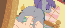 Animated Maud_Pie My_Little_Pony_Friendship_Is_Magic // 945x416 // 3.7MB // gif