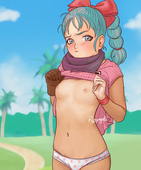 Aurengzeb Bulma_Brief Dragon_Ball_Z // 1067x1285 // 579.6KB // jpg