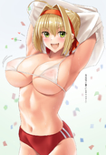 Caster FateGrand_Order Nero_Claudius_Caesar_Augustus_Germanicus Saber // 955x1386 // 133.9KB // jpg