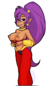 Shantae Shantae_(Game) // 786x1290 // 596.7KB // png