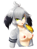 Kemono_Friends Shoebill // 900x1188 // 714.0KB // png