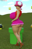 3D Super_Mario_Bros Thefoxxx Toadette shygal // 900x1350 // 316.4KB // jpg