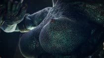 3D Animated Argonian The_Elder_Scrolls trenshyva // 800x450 // 48.6MB // webm