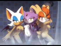 Adventures_of_Sonic_the_Hedgehog Blaze_The_Cat Nancher Rouge_The_Bat Vanilla_the_Rabbit // 1280x960 // 221.6KB // jpg