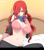 Erza_Scarlet Fairy_Tail // 1228x1384 // 767.5KB // png