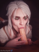 3D Blender Ciri The_Witcher_3:_Wild_Hunt checkpik // 3072x4096 // 929.8KB // jpg