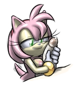 Amy_Rose Sonic_(Series) hotred // 1225x1341 // 170.6KB // jpg