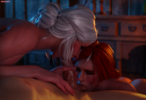 3D Blender Ciri The_Witcher_3:_Wild_Hunt Triss_Merigold sfmlover22 // 2840x1928 // 1.6MB // jpg