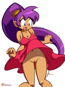 Shantae Shantae_(Game) // 550x733 // 44.7KB // jpg