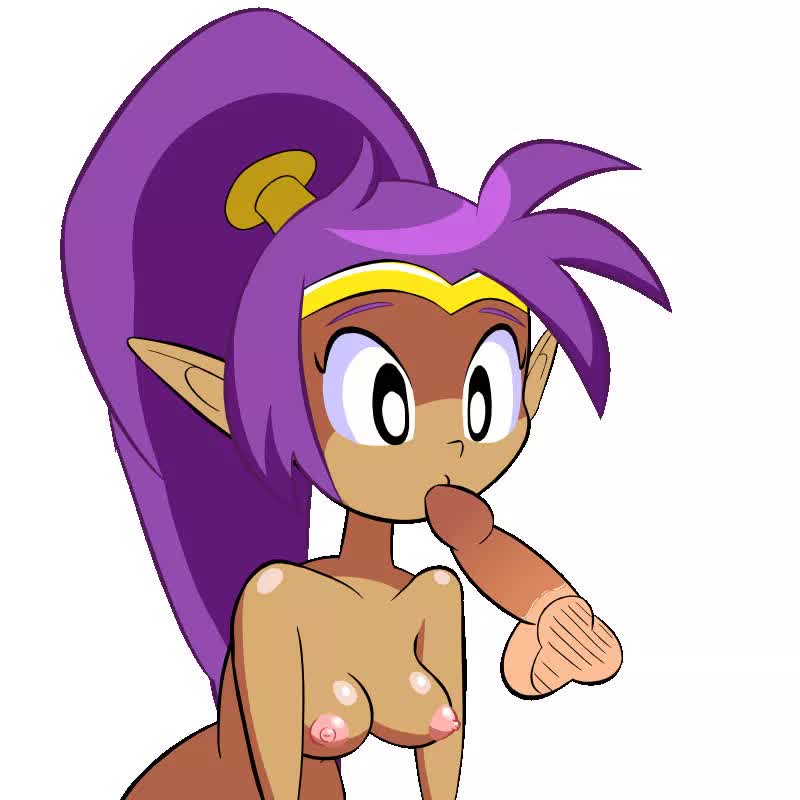 Animated Shantae Shantae_(Game) // 800x800 // 635.4KB // webm