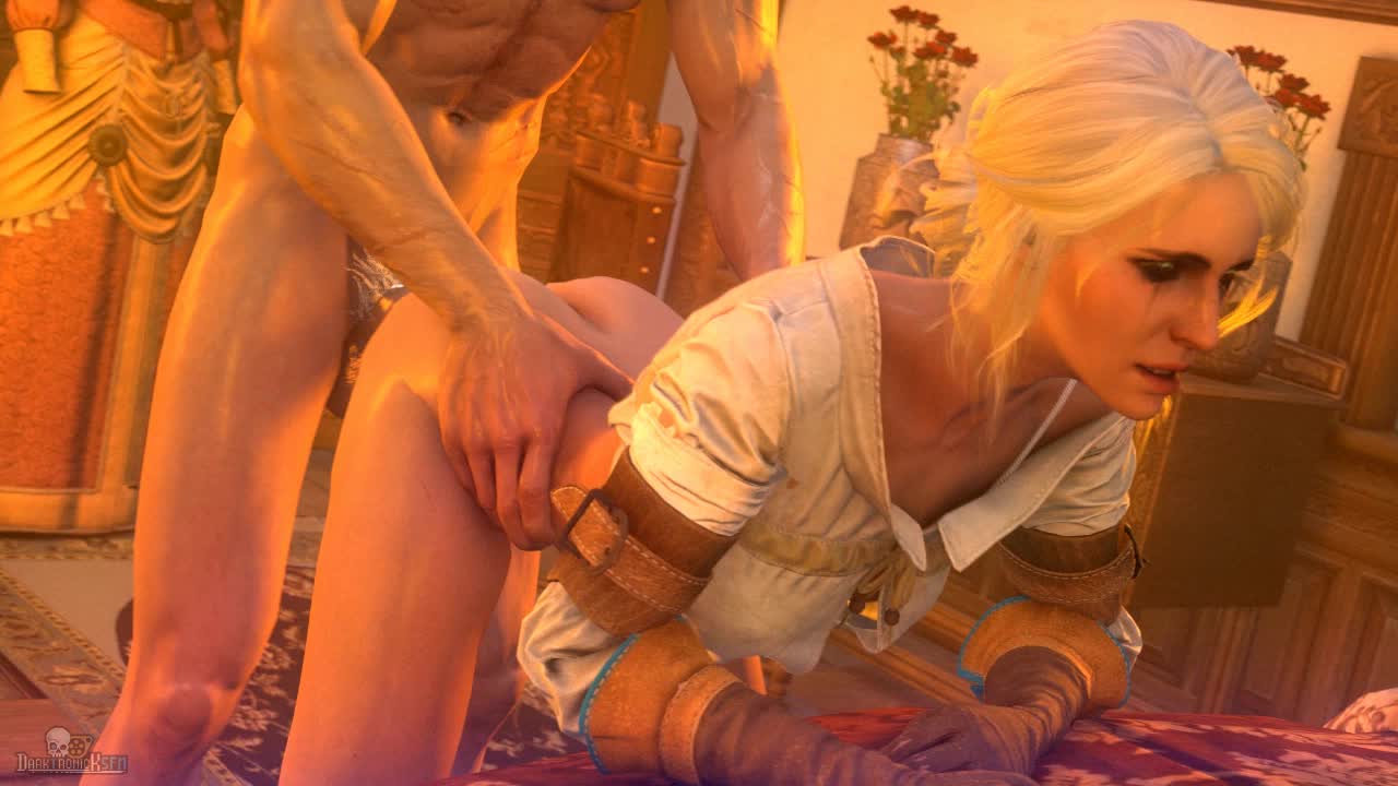 3D Animated Ciri Source_Filmmaker The_Witcher The_Witcher_3:_Wild_Hunt darktronicksfm // 1280x720 // 3.5MB // webm