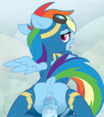 Animated My_Little_Pony_Friendship_Is_Magic Rainbow_Dash etyas // 1000x1119 // 1.8MB // gif