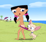 Fireside_Girls Isabella_Garcia-Shapiro Lenc Phineas_and_Ferb Pinky_the_Chihuahua coppertone // 1200x1100 // 677.0KB // jpg