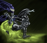 Alien_(Series) Xenomorph // 931x857 // 110.8KB // jpg