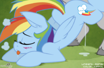 My_Little_Pony_Friendship_Is_Magic Rainbow_Dash // 1000x659 // 444.3KB // png
