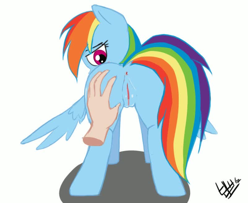 Animated My_Little_Pony_Friendship_Is_Magic Rainbow_Dash // 800x654 // 286.6KB // webm