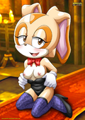 Adventures_of_Sonic_the_Hedgehog Cream_the_Rabbit // 1300x1837 // 786.0KB // jpg