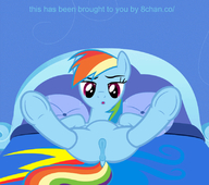 Animated My_Little_Pony_Friendship_Is_Magic Rainbow_Dash // 800x708 // 7.0MB // gif