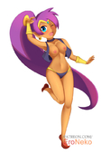 Shantae Shantae_(Game) eroneko // 644x900 // 73.5KB // jpg