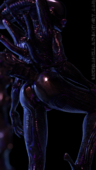 3D Alien_(Series) Xenomorph disembowell // 1080x1920 // 1.9MB // png