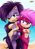 Queen_Aleena Sonia_the_Hedgehog Sonic_(Series) Sonic_Underground // 1300x1837 // 687.9KB // jpg