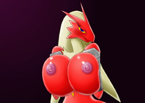 Animated Blaziken_(Pokémon) Pokemon // 1000x711 // 2.0MB // gif
