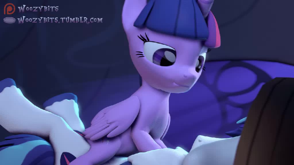 3D Animated My_Little_Pony_Friendship_Is_Magic Shining_Armor Source_Filmmaker Twilight_Sparkle woozybits // 1024x576 // 1.8MB // webm