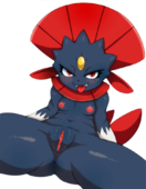 Pokemon Weavile_(Pokémon) matospectoru // 734x943 // 416.2KB // png